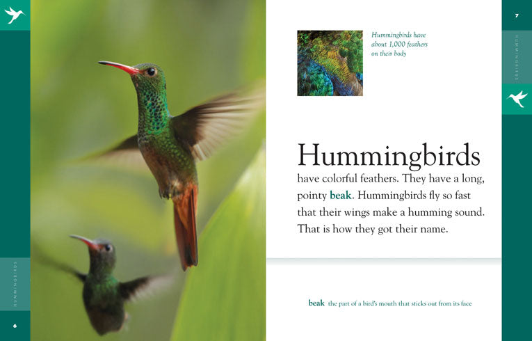 Amazing Animals - Classic Edition: Hummingbirds by The Creative Company Shop