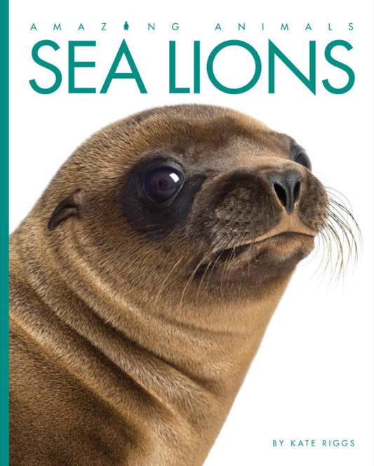 Amazing Animals - Classic Edition: Sea Lions by The Creative Company Shop