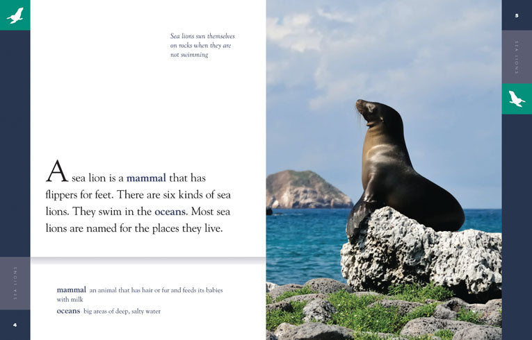 Amazing Animals - Classic Edition: Sea Lions by The Creative Company Shop