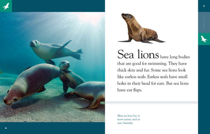 Amazing Animals - Classic Edition: Sea Lions by The Creative Company Shop