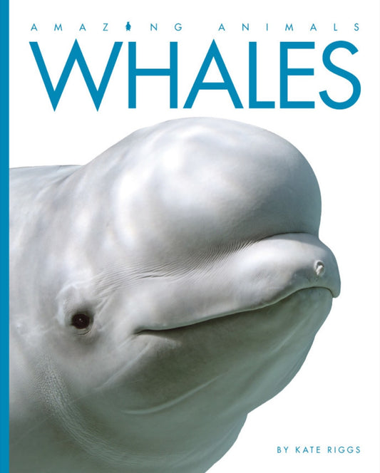 Amazing Animals - Classic Edition: Whales by The Creative Company Shop