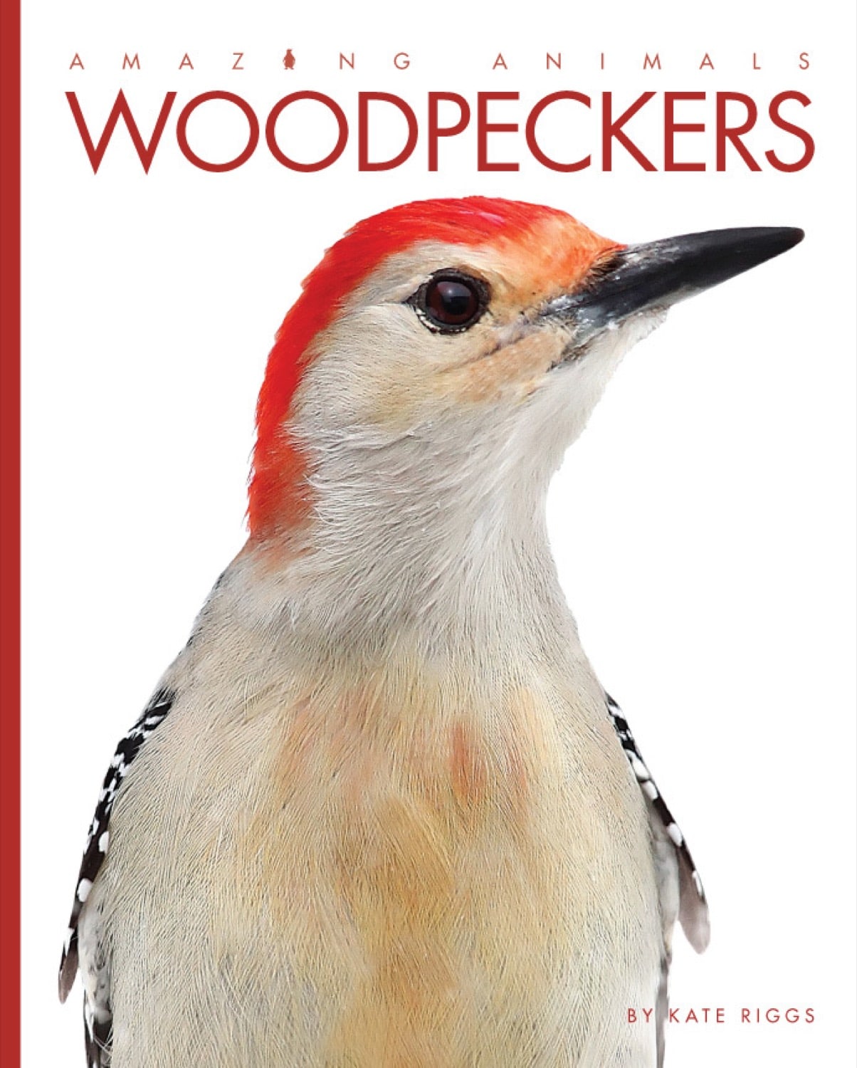 Amazing Animals - Classic Edition: Woodpeckers by The Creative Company Shop