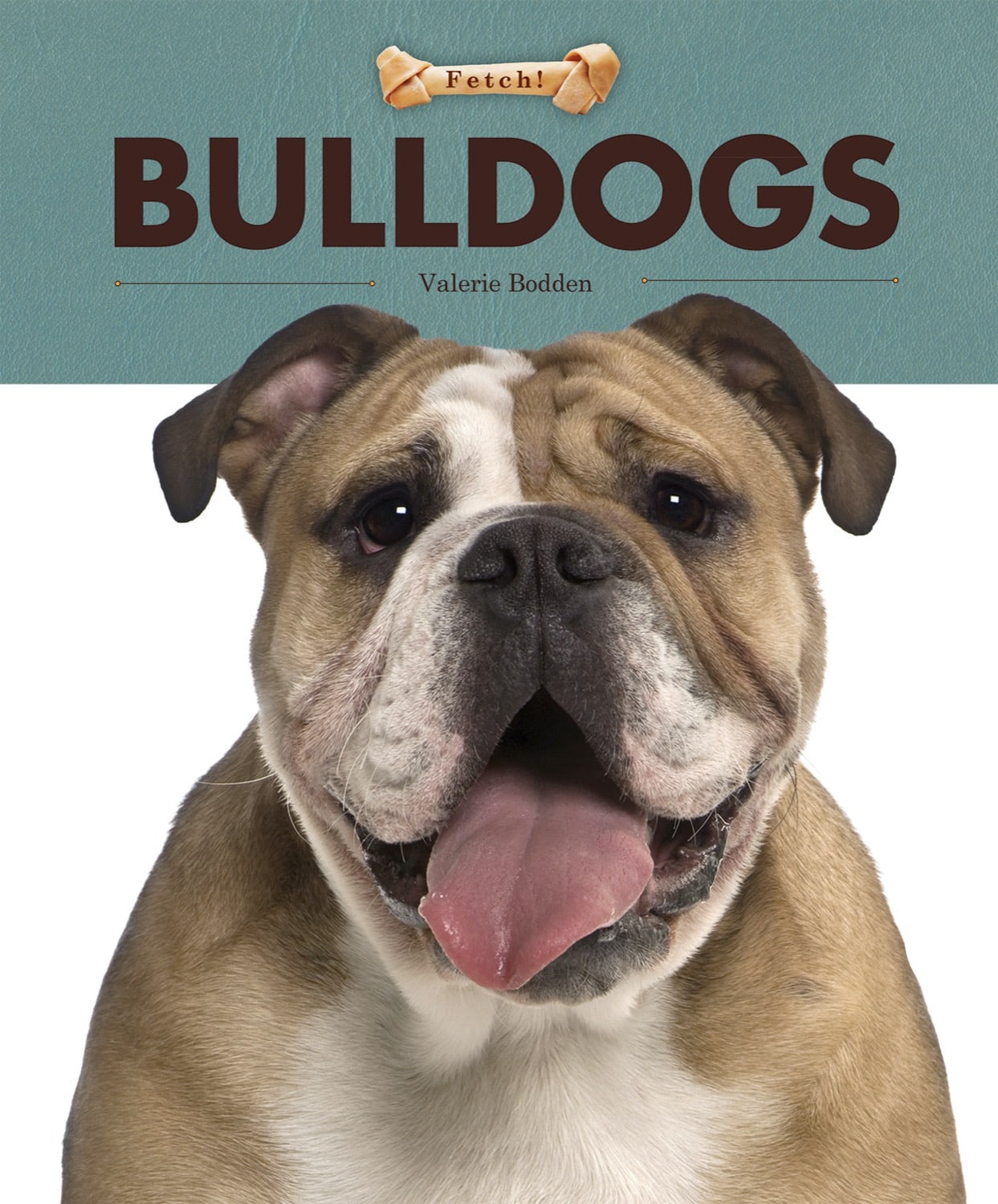 Fetch!: Bulldogs by The Creative Company Shop