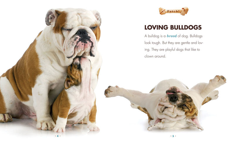 Fetch!: Bulldogs by The Creative Company Shop