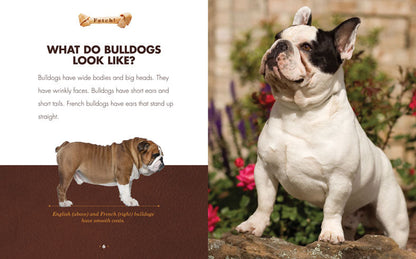 Fetch!: Bulldogs by The Creative Company Shop
