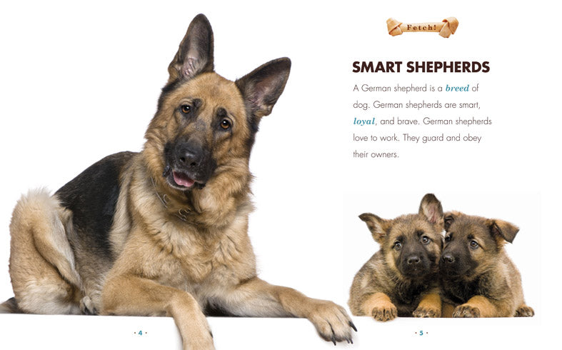 Fetch!: German Shepherds by The Creative Company Shop