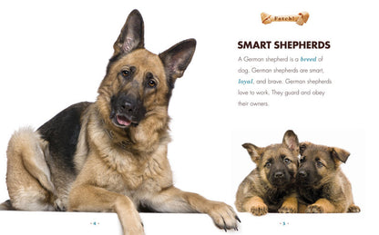 Fetch!: German Shepherds by The Creative Company Shop