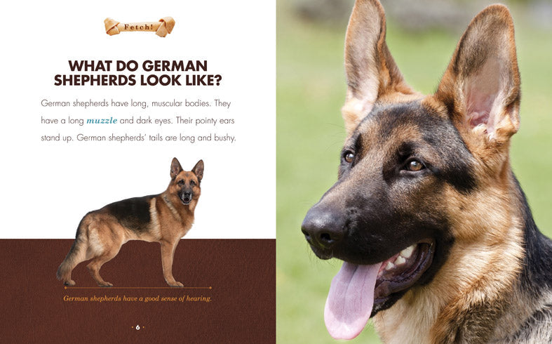 Fetch!: German Shepherds by The Creative Company Shop