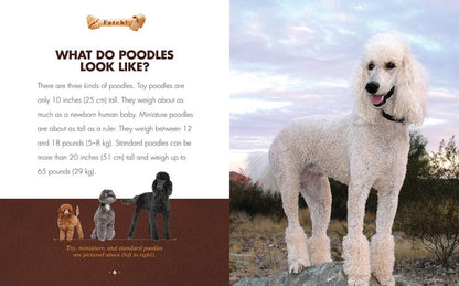 Fetch!: Poodles by The Creative Company Shop