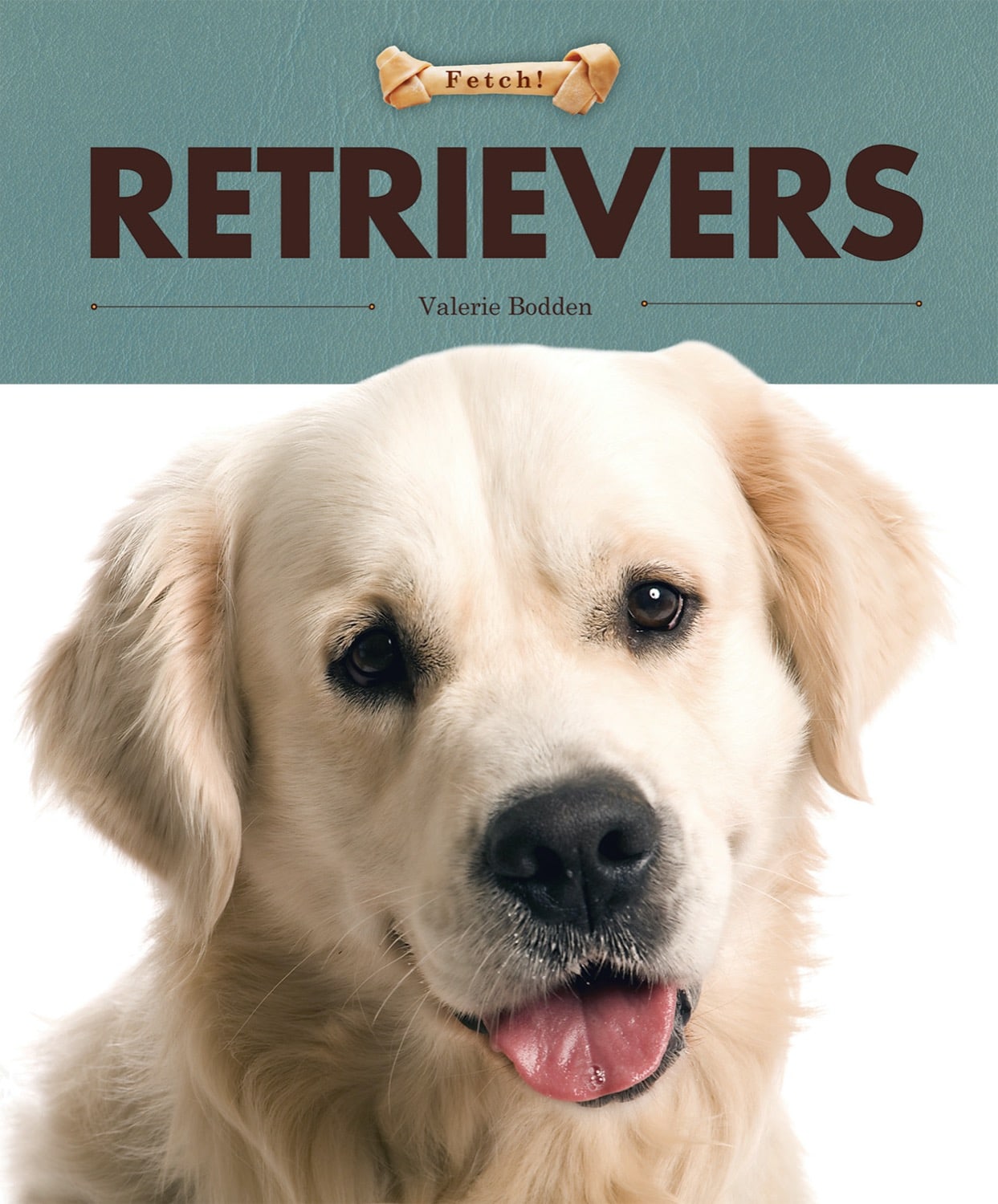 Fetch!: Retrievers by The Creative Company Shop