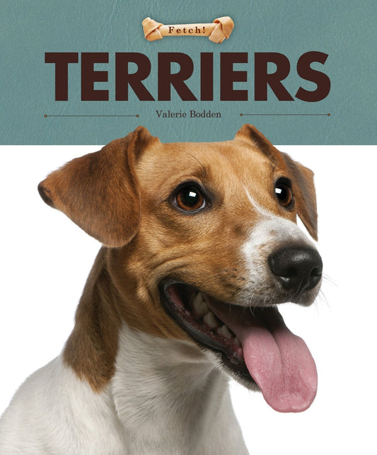Fetch!: Terriers by The Creative Company Shop