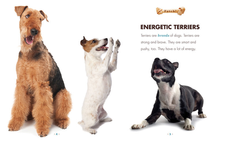 Fetch!: Terriers by The Creative Company Shop