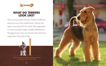 Fetch!: Terriers by The Creative Company Shop