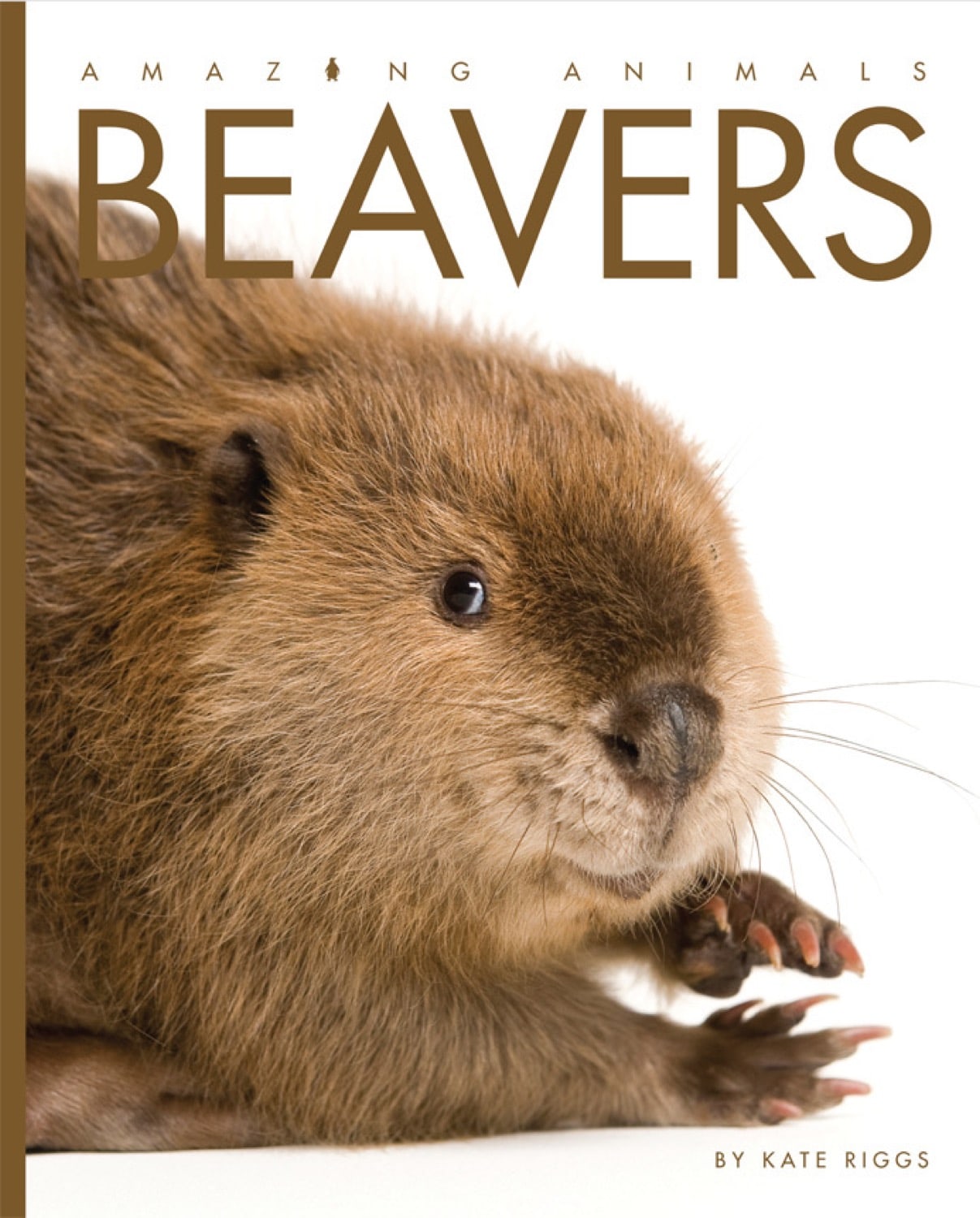 Amazing Animals - Classic Edition: Beavers by The Creative Company Shop