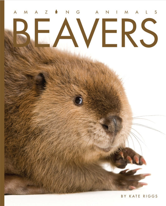 Amazing Animals - Classic Edition: Beavers by The Creative Company Shop