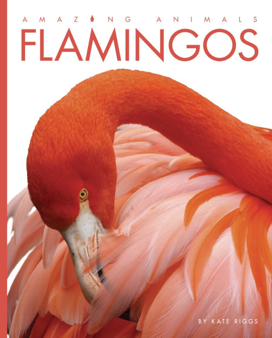 Amazing Animals - Classic Edition: Flamingos by The Creative Company Shop