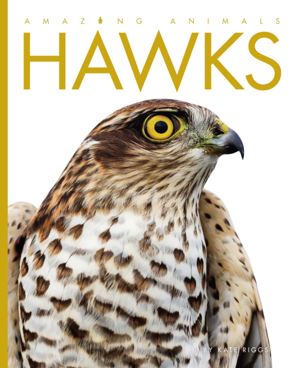 Amazing Animals - Classic Edition: Hawks by The Creative Company Shop