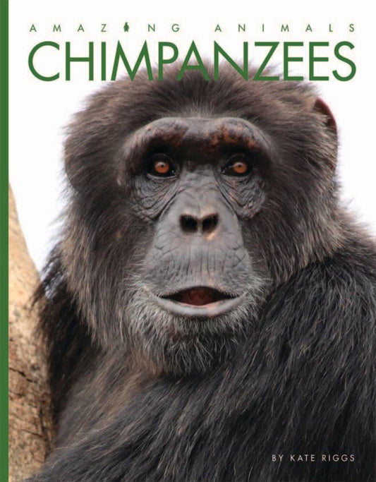 Amazing Animals - Classic Edition: Chimpanzees by The Creative Company Shop