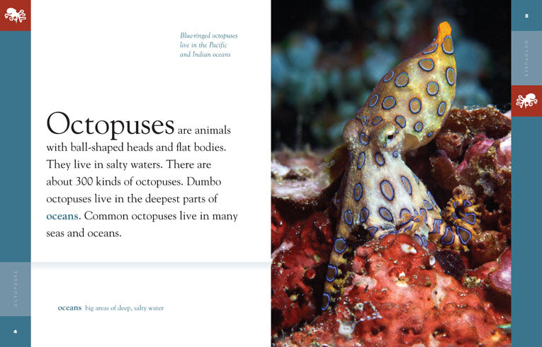 Amazing Animals - Classic Edition: Octopuses by The Creative Company Shop