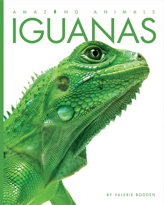Amazing Animals - Classic Edition: Iguanas by The Creative Company Shop
