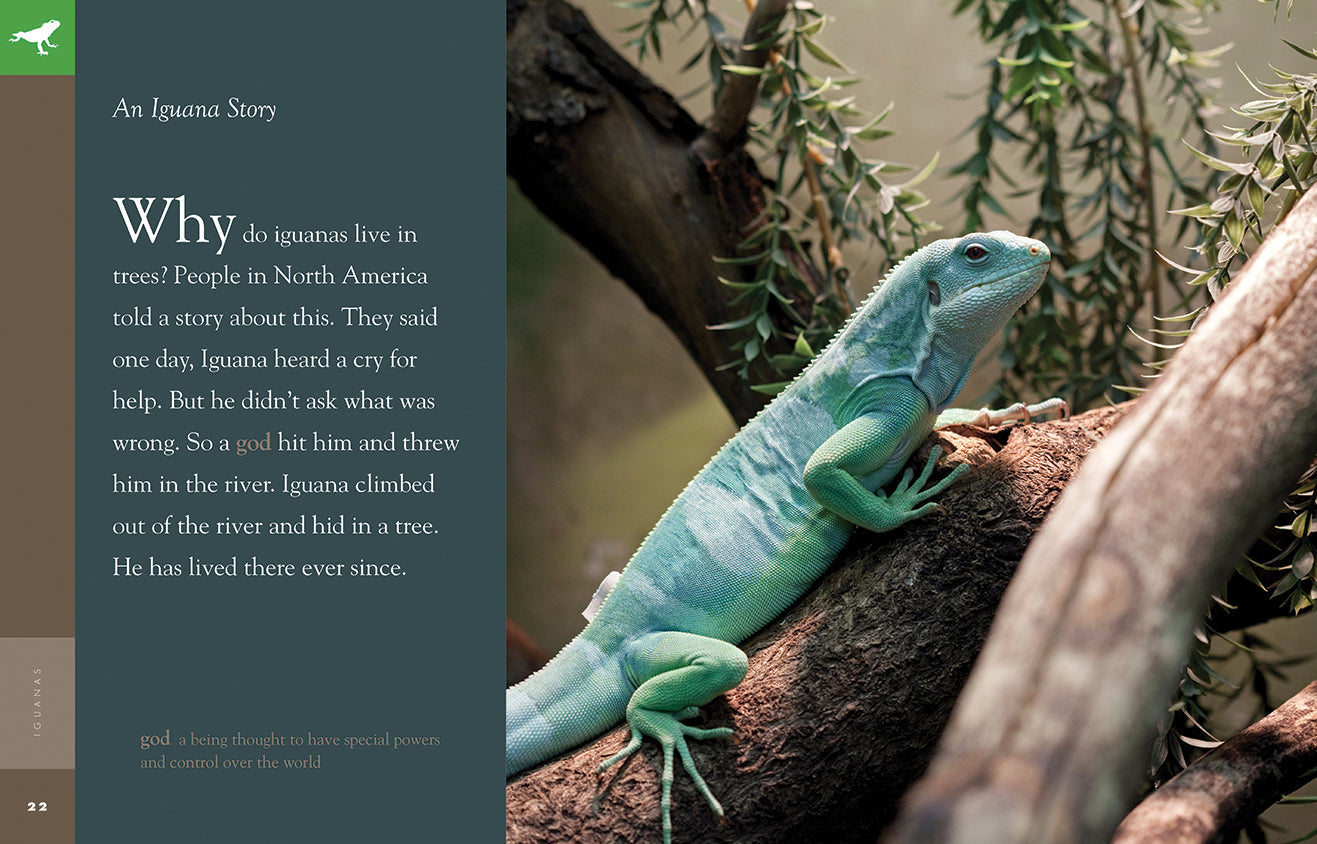 Amazing Animals - Classic Edition: Iguanas by The Creative Company Shop