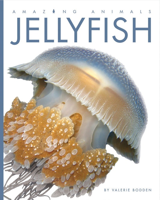 Amazing Animals - Classic Edition: Jellyfish by The Creative Company Shop