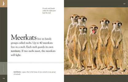 Amazing Animals - Classic Edition: Meerkats by The Creative Company Shop