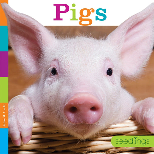 Seedlings: Pigs by The Creative Company Shop