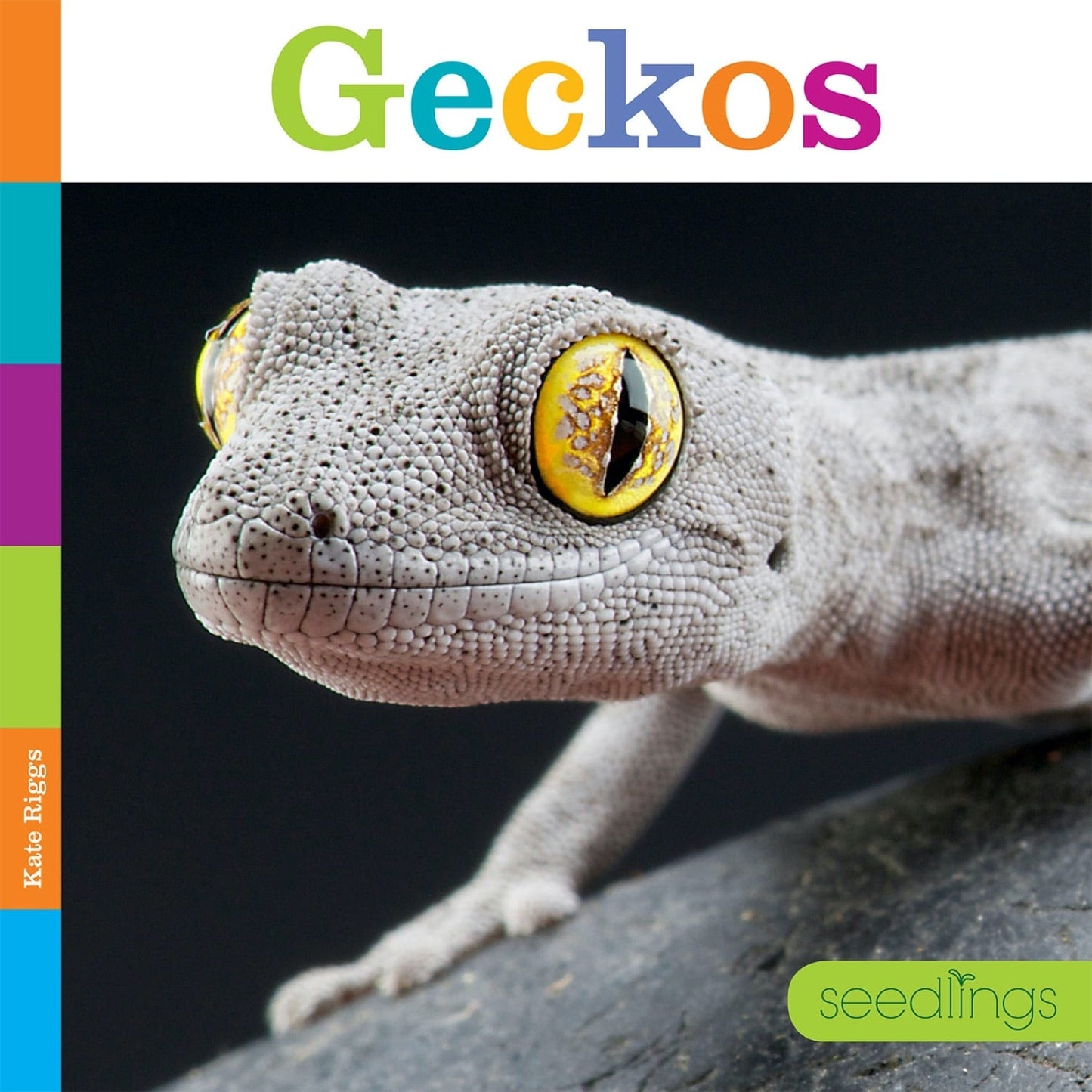 Seedlings: Geckos by The Creative Company Shop