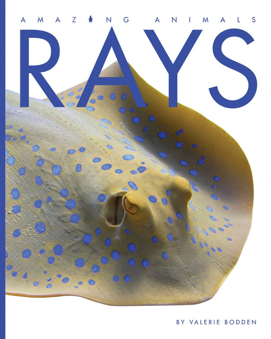 Amazing Animals - Classic Edition: Rays by The Creative Company Shop