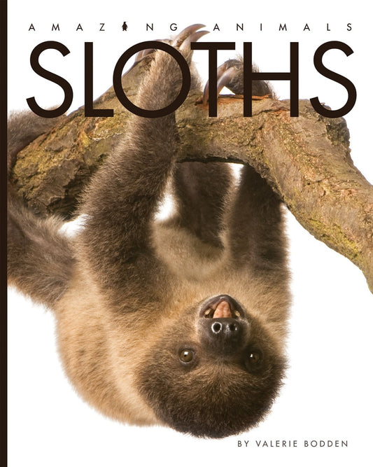 Amazing Animals - Classic Edition: Sloths by The Creative Company Shop