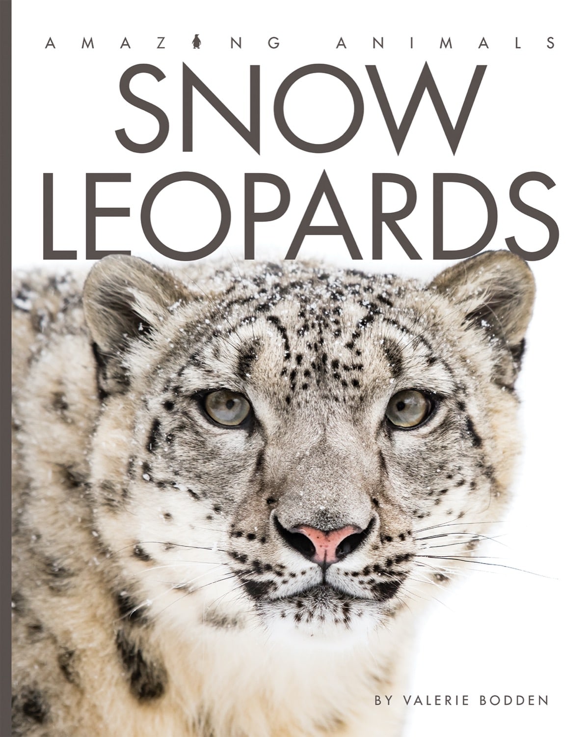 Amazing Animals - Classic Edition: Snow Leopards by The Creative Company Shop