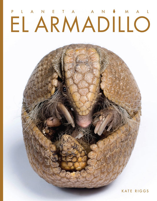 Planeta animal - Classic Edition: El armadillo by The Creative Company Shop