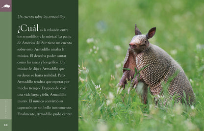 Planeta animal - Classic Edition: El armadillo by The Creative Company Shop