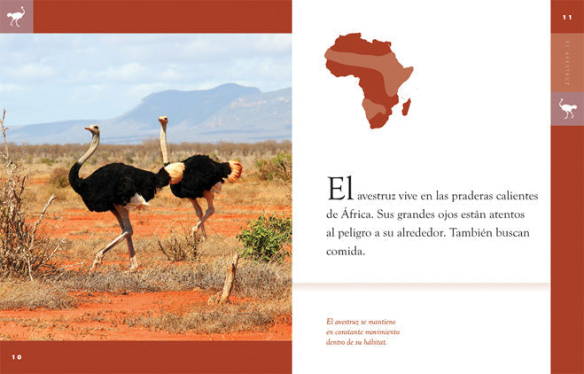 Planeta animal - Classic Edition: El avestruz by The Creative Company Shop