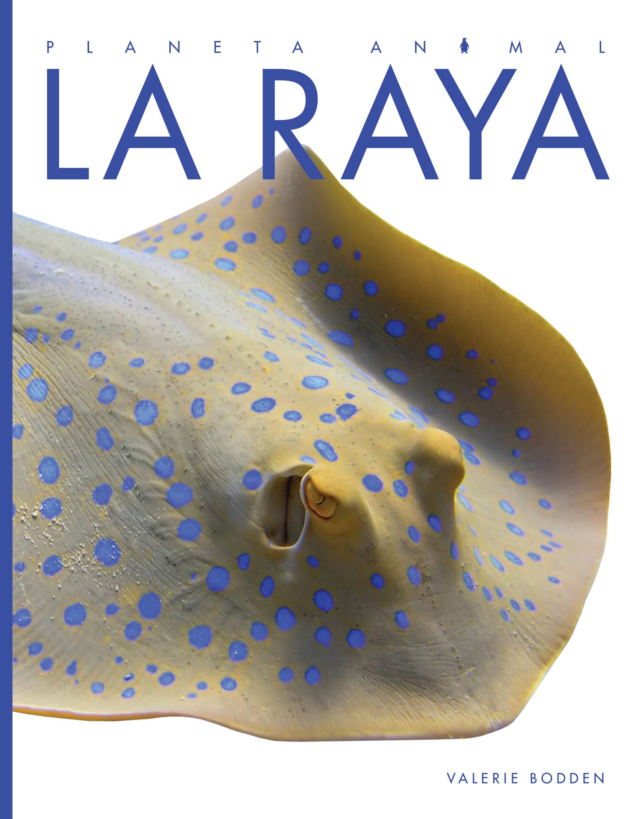 Planeta animal - Classic Edition: La raya by The Creative Company Shop