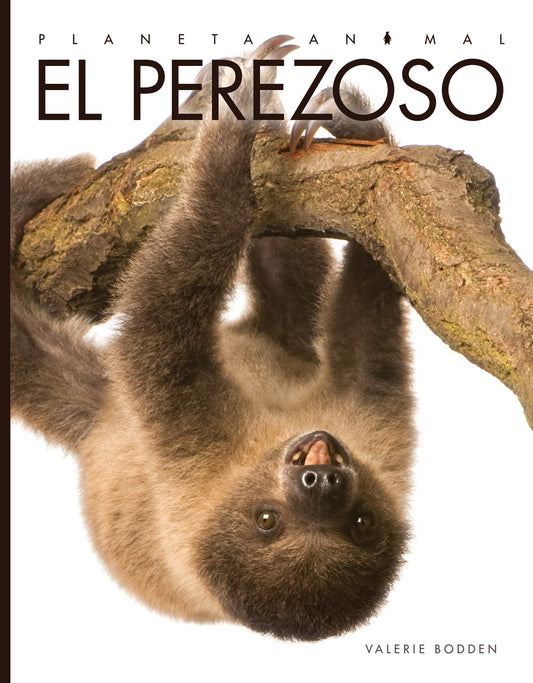 Planeta animal - Classic Edition: El perezoso by The Creative Company Shop
