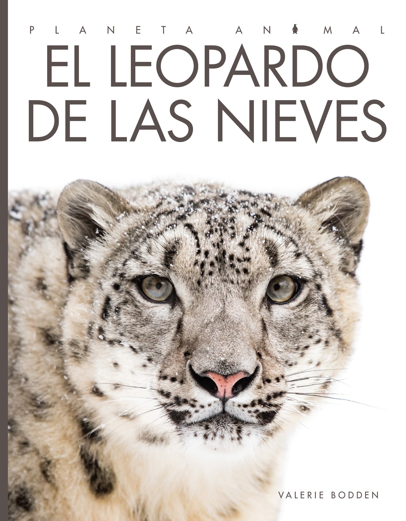 Planeta animal - Classic Edition: El leopardo de las nieves by The Creative Company Shop