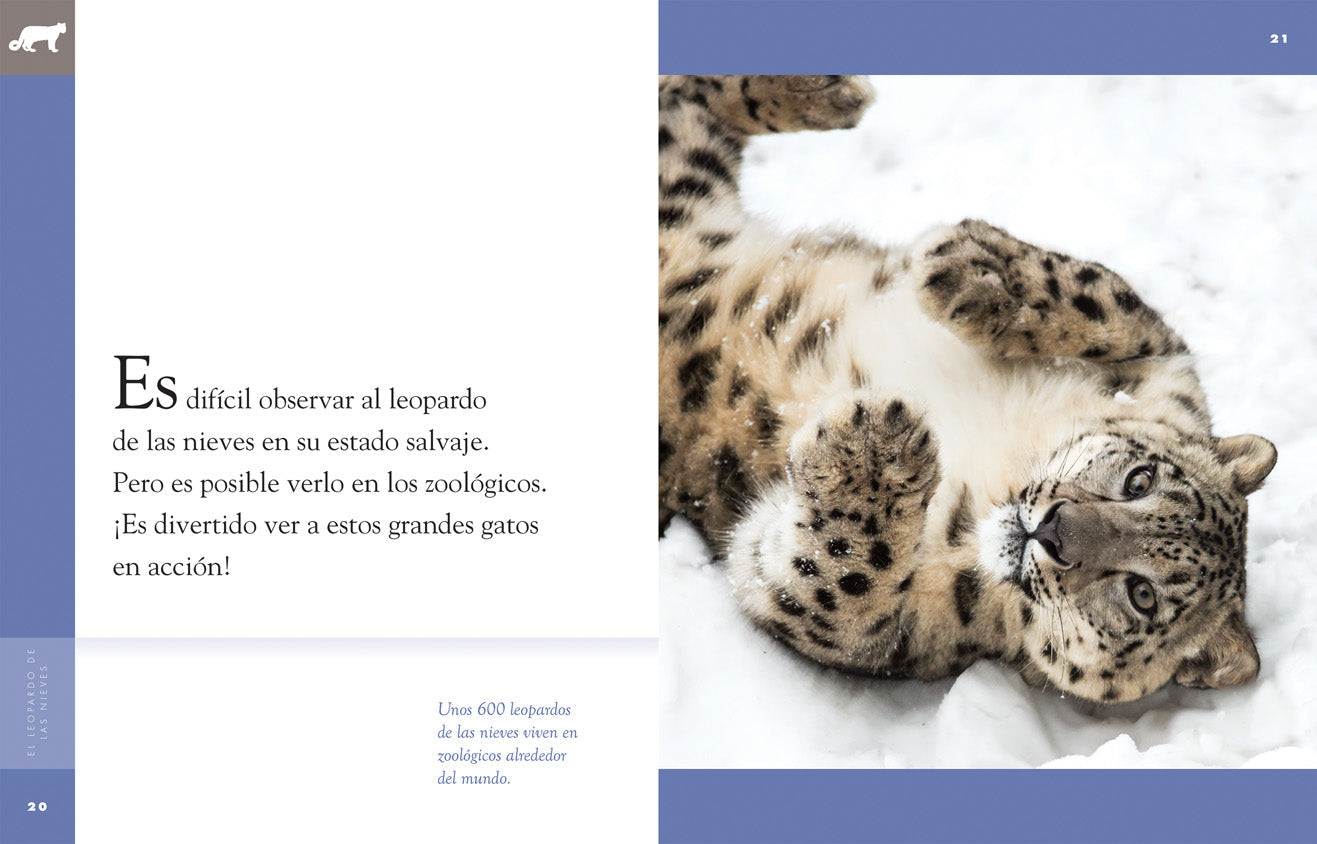 Planeta animal - Classic Edition: El leopardo de las nieves by The Creative Company Shop