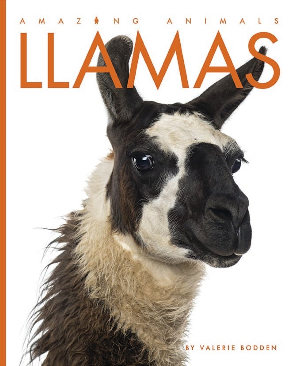 Amazing Animals - Classic Edition: Llamas by The Creative Company Shop