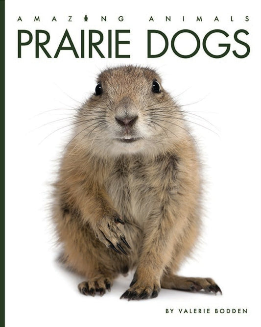 Amazing Animals - Classic Edition: Prairie Dogs by The Creative Company Shop