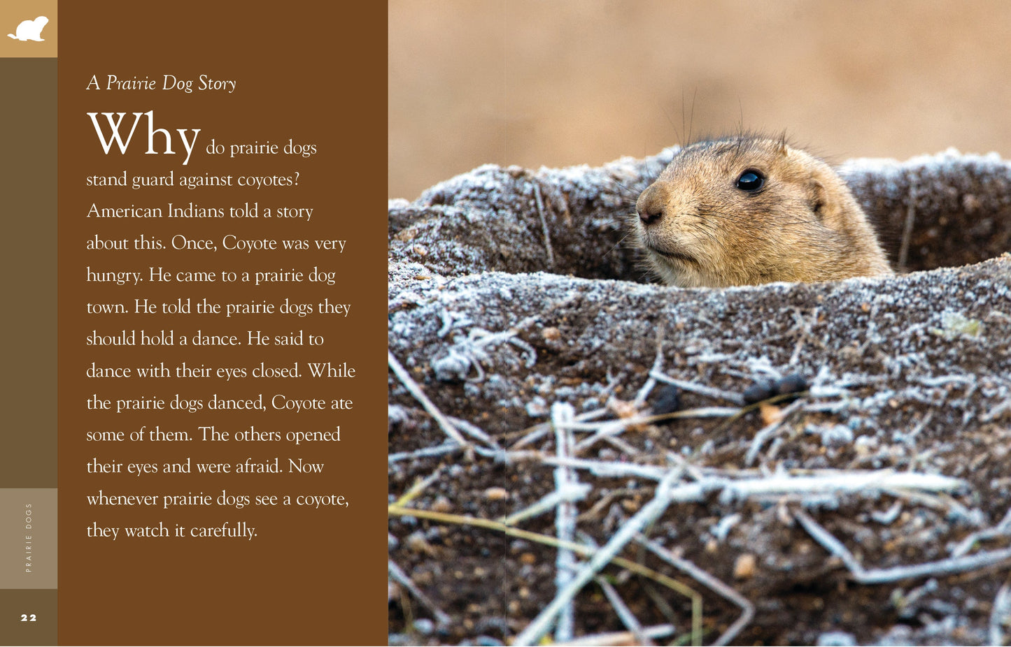 Amazing Animals - Classic Edition: Prairie Dogs by The Creative Company Shop