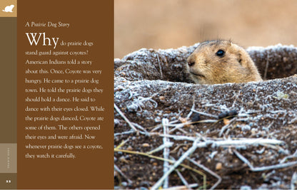 Amazing Animals - Classic Edition: Prairie Dogs by The Creative Company Shop