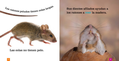 Semillas del saber: Los ratones by The Creative Company Shop