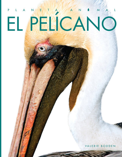 Planeta animal - Classic Edition: El pelícano by The Creative Company Shop