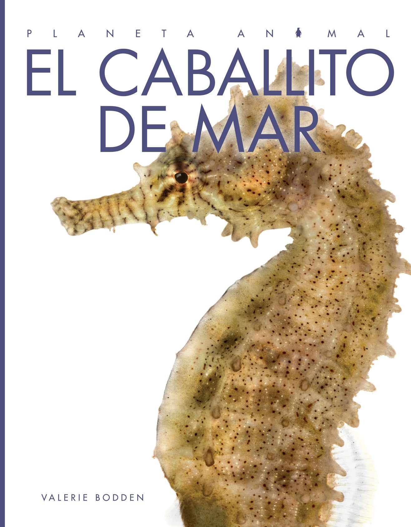 Planeta animal - Classic Edition: El caballito de mar by The Creative Company Shop