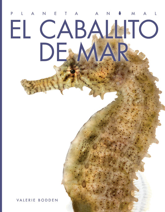 Planeta animal - Classic Edition: El caballito de mar by The Creative Company Shop