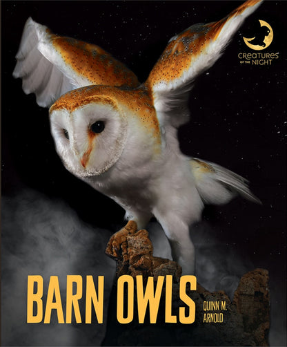 Creatures of the Night: Barn Owls by The Creative Company Shop