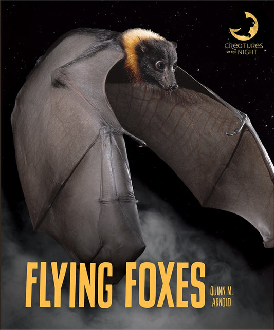 Creatures of the Night: Flying Foxes by The Creative Company Shop