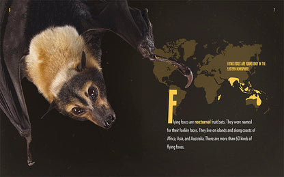 Creatures of the Night: Flying Foxes by The Creative Company Shop